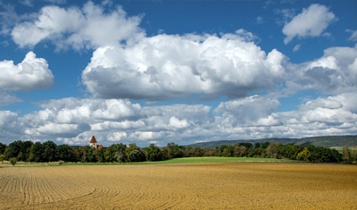 Landwirtschaftsfeld in Österreich