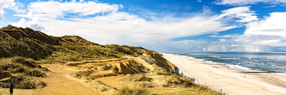 Dunes, beach and sea in Denmark