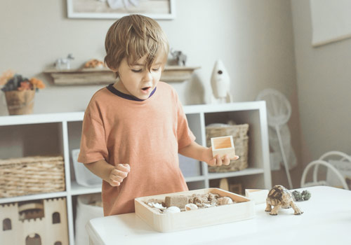 Boy playing with natural toys.