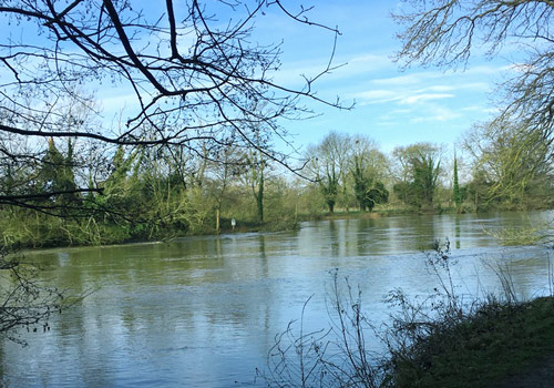 Au-pair Maartje in Aldershot